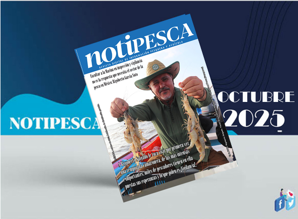 Porque usted la esperaba, ya está aquí la revista digital de información pesquera y acuícola de México en su edición de octubre. Son 92 páginas de pura información del sector, que también es cultura. Léala y compártala, es suya y de distribución gratuita. issuu.com/jjfreeman/docs…