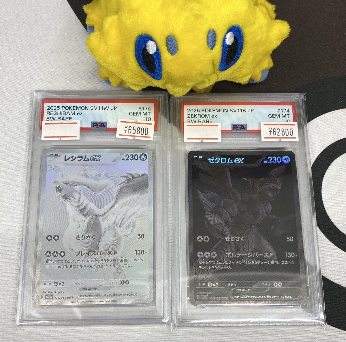 magi新宿西口店【カードショップ】【TCGshop】 on X: 