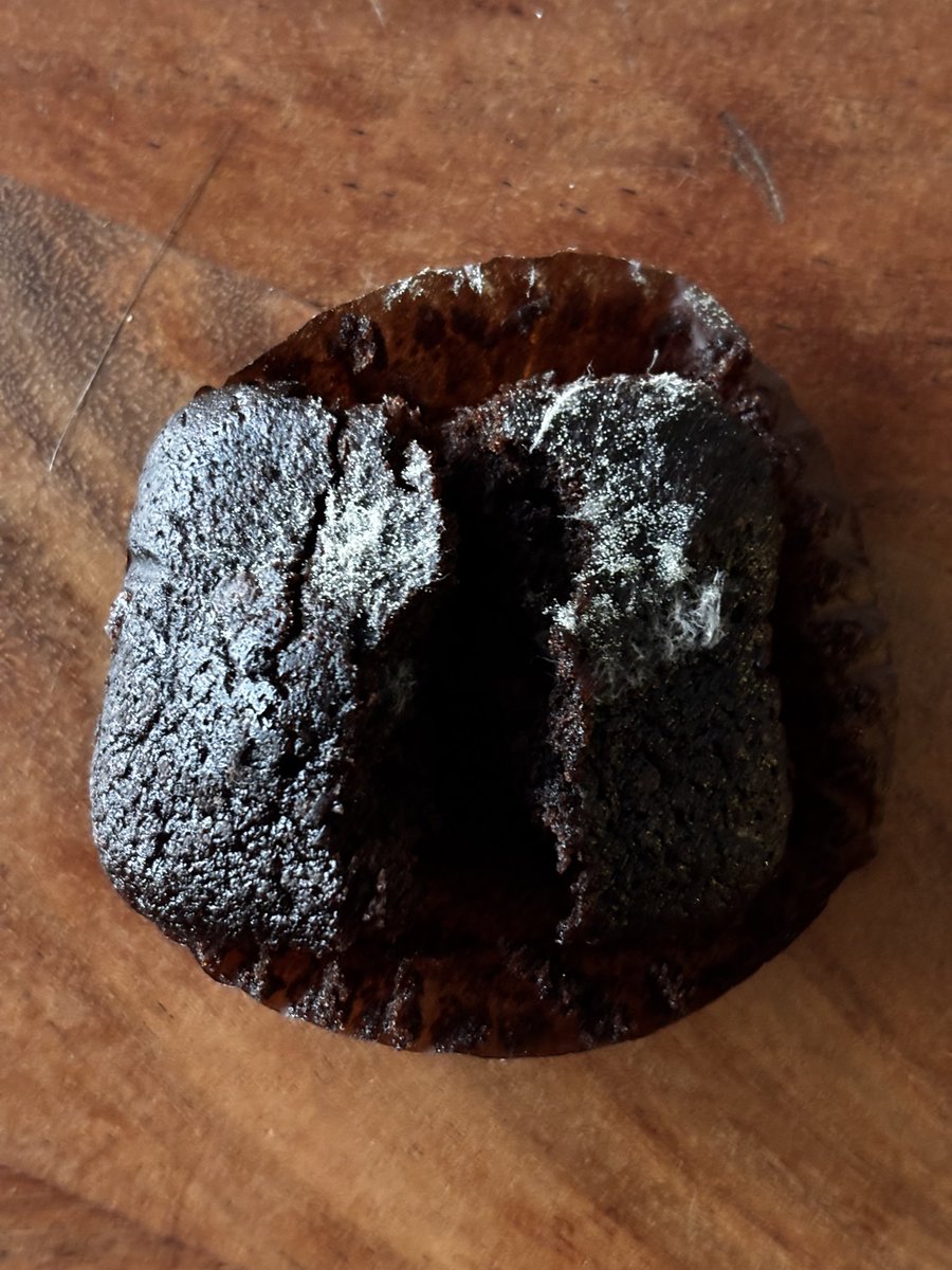 la Révolution en Marche tweet media