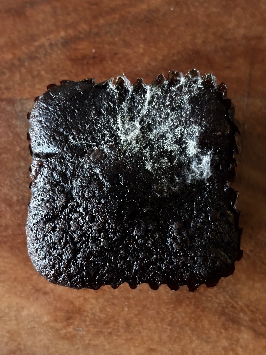 la Révolution en Marche tweet media