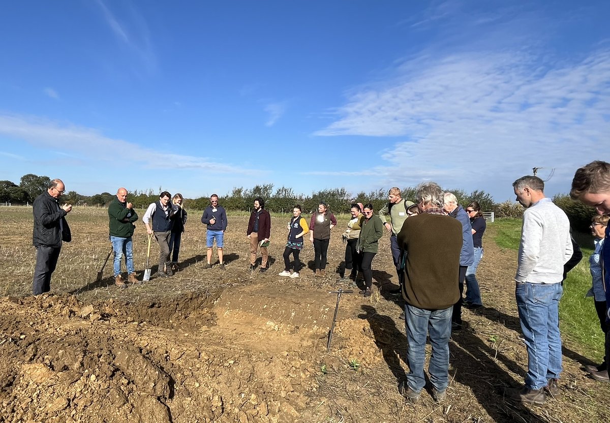 Jennifer Brodie tweet media