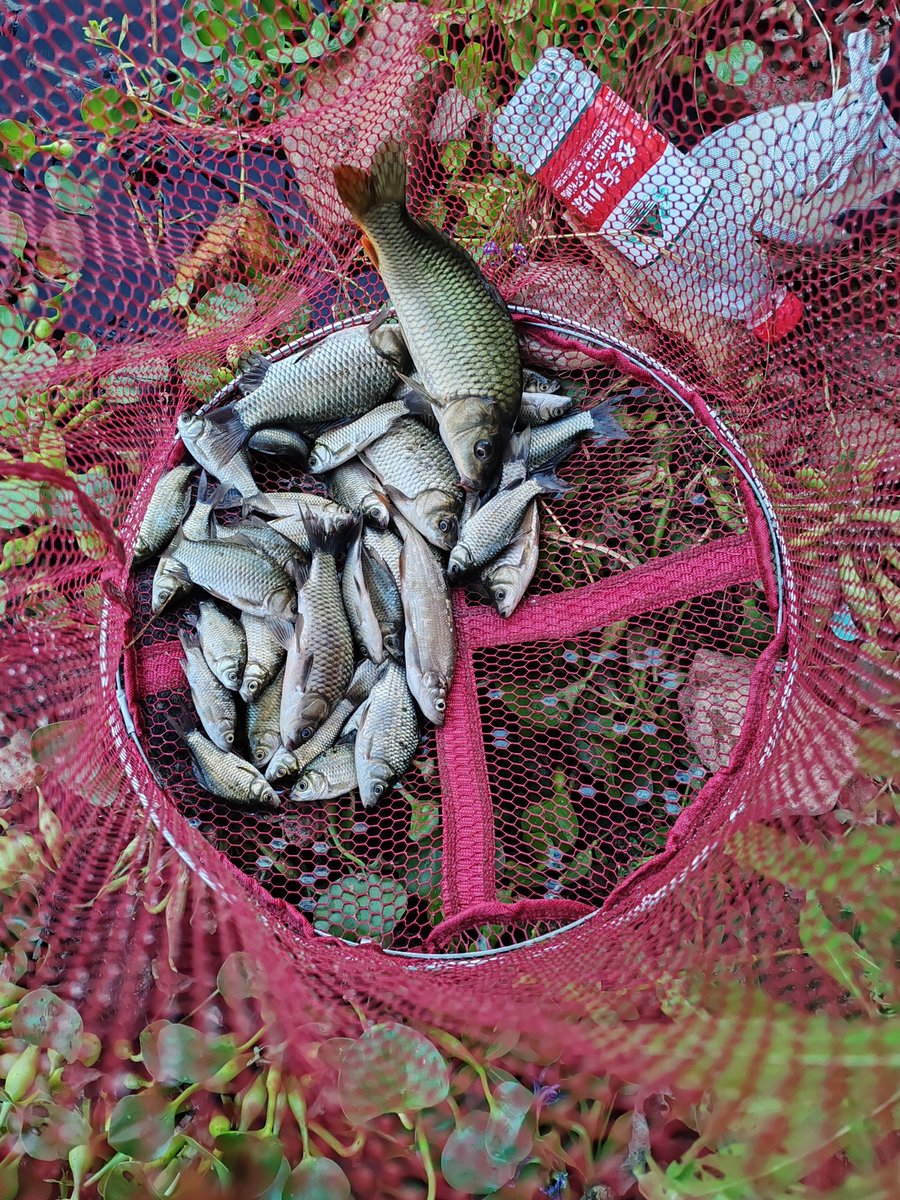 #龙虎天下绝  假期的正确打开方式！🎣