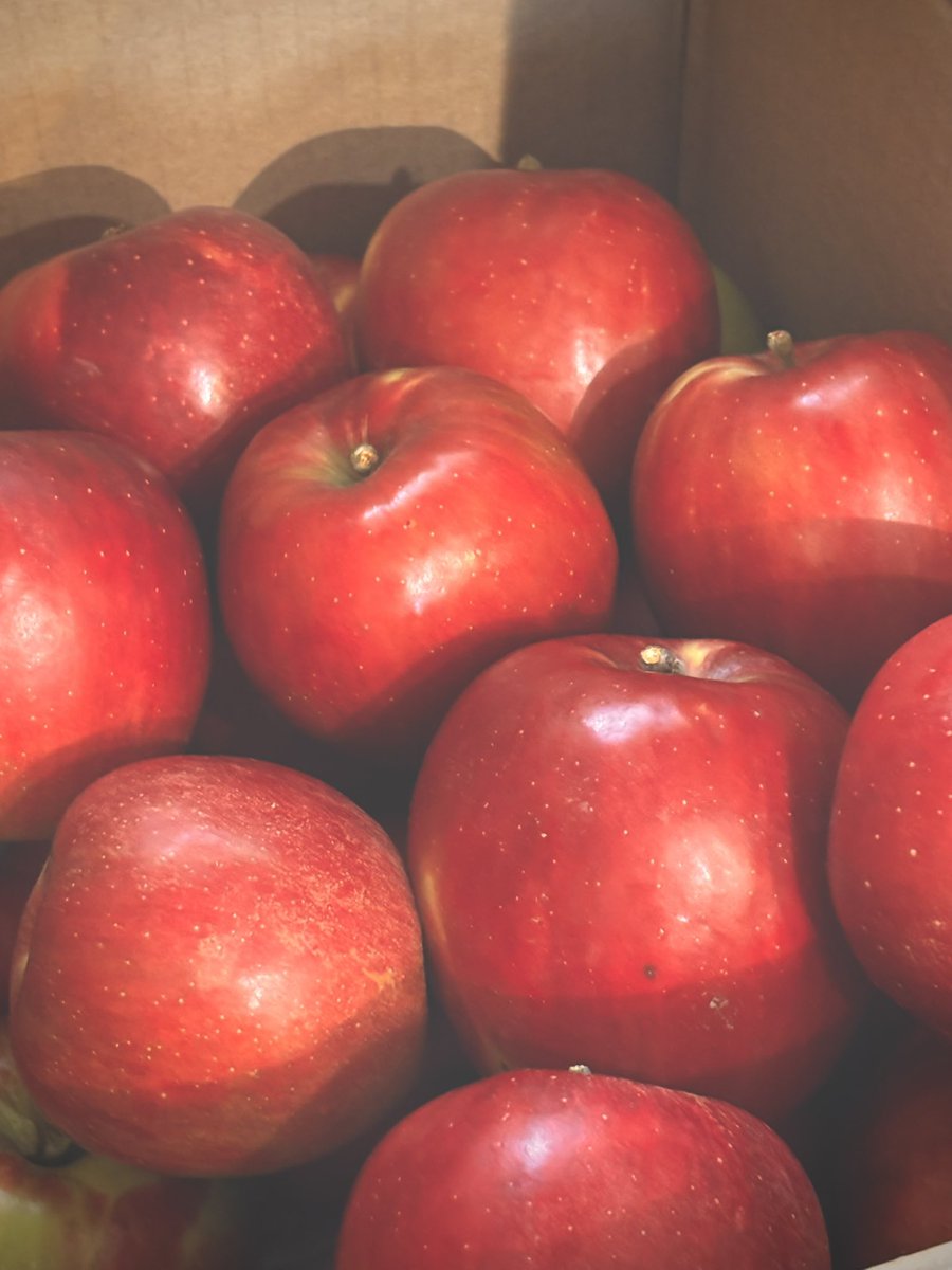 明日は紅玉でマフィン焼きますね🍎