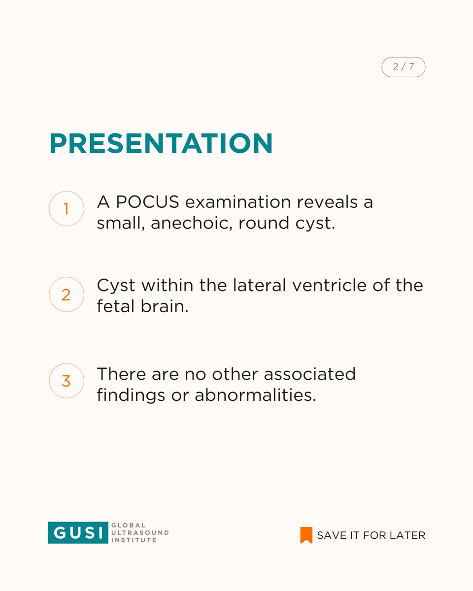 Global Ultrasound Institute tweet media