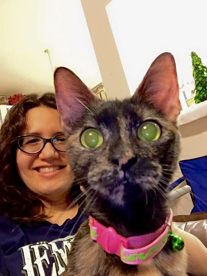 DawnMBennettVA's tweet photo. Thank you guys for letting me talk about Frosch as much as I have. Most of you have never met her, but she’s about as perfect as a cat can be.

Well, within reason.

Her face started to look like a pug’s over time and I’m still not sure why. https://t.co/W87FeHrqm7