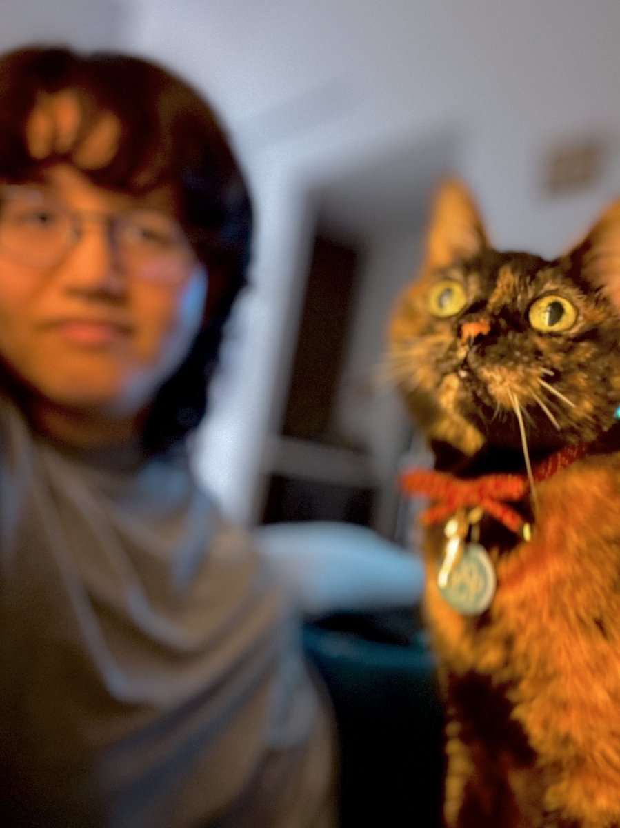 DawnMBennettVA's tweet photo. Thank you guys for letting me talk about Frosch as much as I have. Most of you have never met her, but she’s about as perfect as a cat can be.

Well, within reason.

Her face started to look like a pug’s over time and I’m still not sure why. https://t.co/W87FeHrqm7