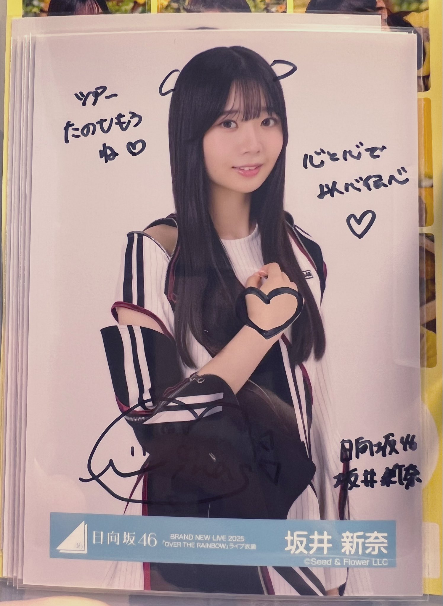 日向坂46 松尾桜　直筆サイン 生写真 ジャーマンアイリス 日向坂46 松尾桜 直筆サイン 生写真 ジャーマンアイリス 日向坂46 生写真