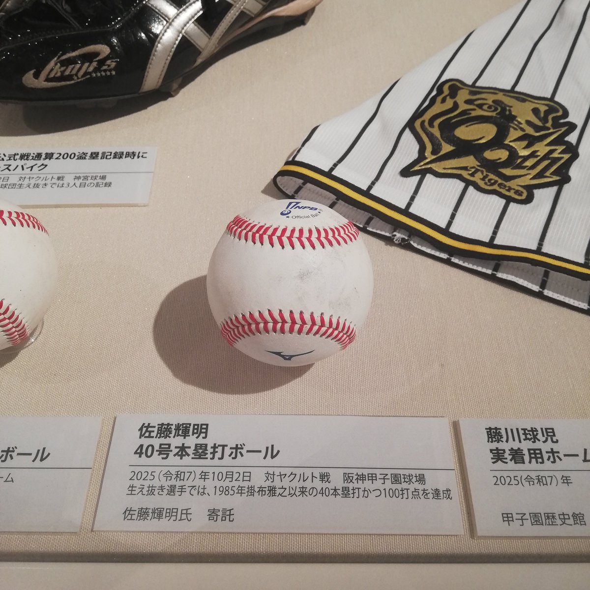 甲子園ボール 大会ボール - 阪神甲子園球場公式オンラインショップ 甲子園eモール