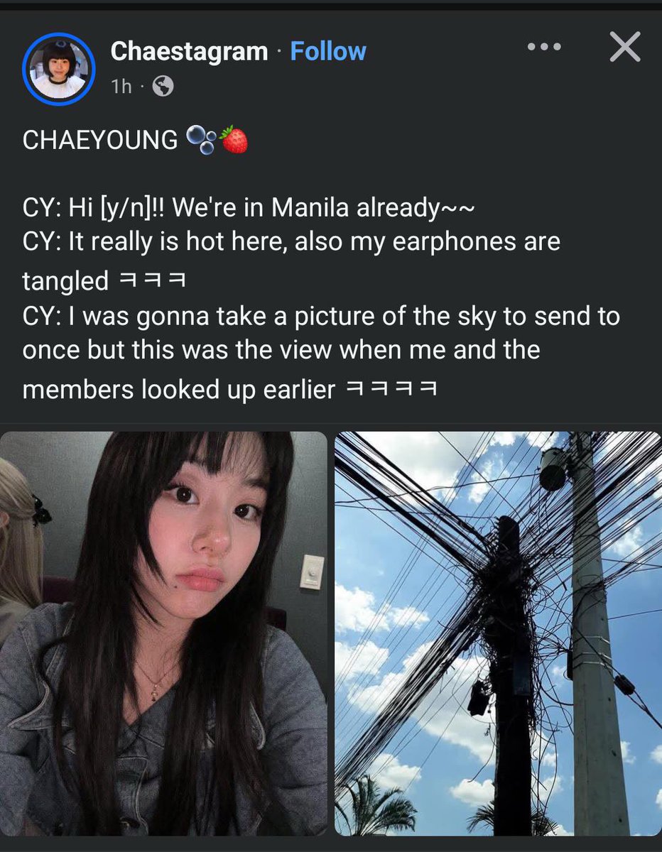 tinymoni will see TWICE⁹ 🩵 tweet media