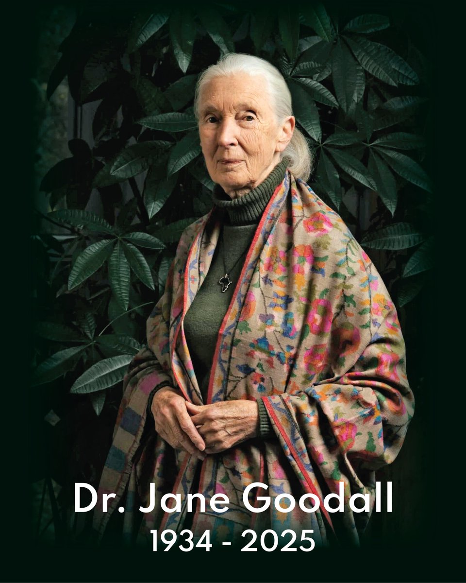 We mourn the passing of Dr Jane Goodall, the compassionate zoologist, primatologist, and anthropologist who forever transformed how humanity sees animals, nature, and our shared place on earth.
#VASCSC honors the life of Dr Jane Goodall. May her soul rest in peace.
#DrJaneGoodall