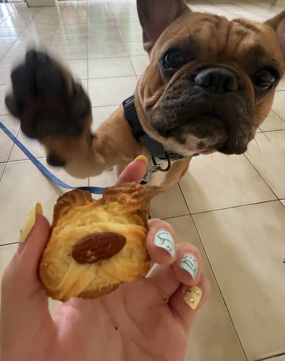 น้องหมูจิ ๋ ว (@imefas) on Twitter photo 