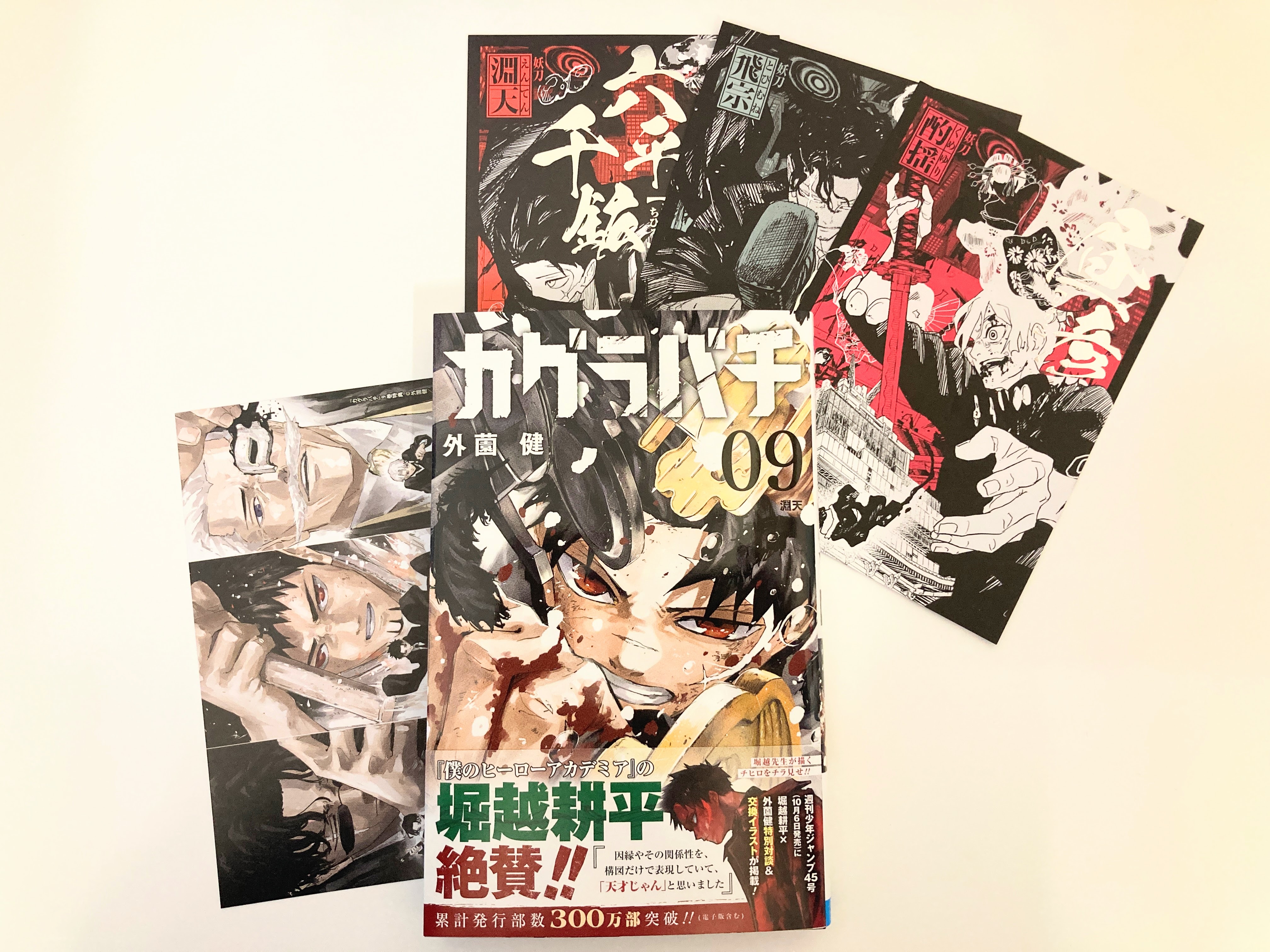 慎重勇者　布ポスター　B2 購入特典　アニメイト 慎重勇者 布ポスター B2 購入特典 アニメイト 株式会社