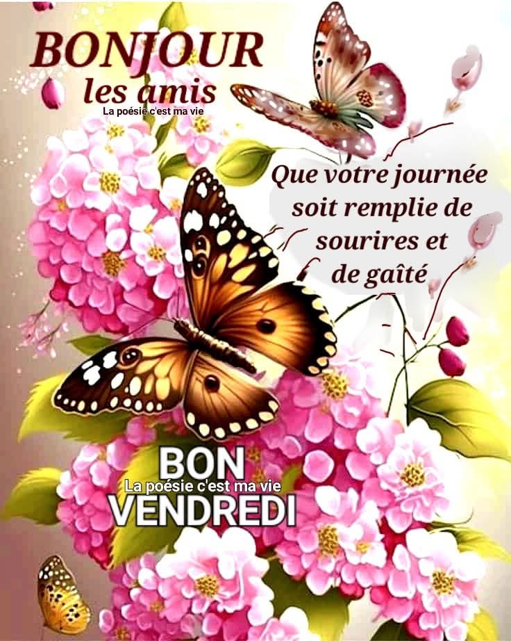 الأيام (@anasfifflorant) on Twitter photo 