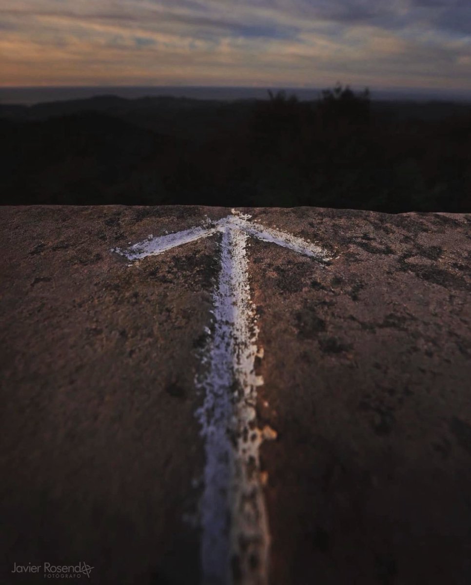 Mirando atrás, sí, lo hacemos con frecuencia, es darle así valor de hasta donde hemos llegado.

La fotografía y los momentos
⭐️ Wonder Photo Shop #cabezondelasal
📷 javierrosendo.com