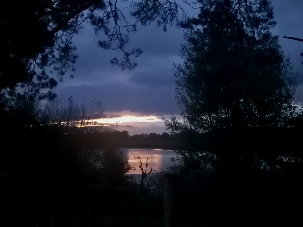 Sheriff Rick Grimes, Richmondshire County🇬🇧🤠⭐️ tweet media