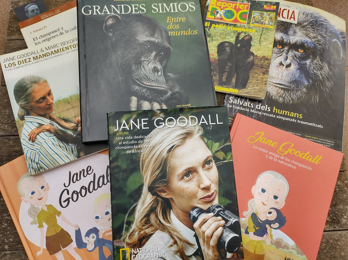 Hi ha figures que són tan transcendents per a l'evolució i bon desenvolupament de la cultura, que el seu treball i llegat hauria ser d'obligat coneixement i estudi arreu. Són un exemple per a tots!
#JaneGoodall (3-4-34/1-10-25), una llarga vida dedicada a fer-nos millors.
Gràcies