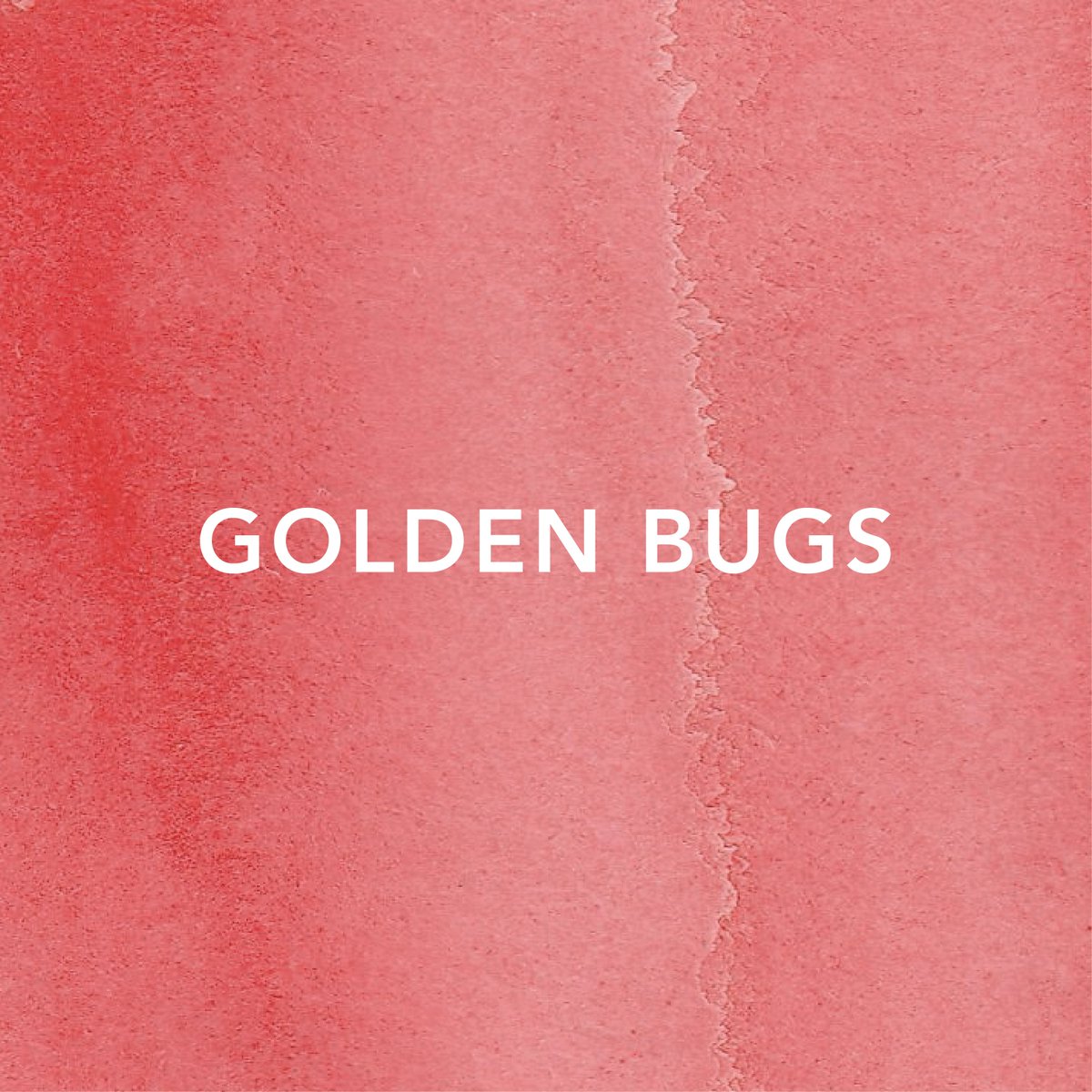 _rabbit_circle_'s tweet photo. インストバンドMIM @bandmim の2ndシングル
「Golden Bugs」が配信リリースされました！

LinkCore https://t.co/m24NyKj49D

今作のMVは、前作よりも撮影枚数を増やして制作しました。カットを増やすと動きが出て楽しいのですが、全部で2,800枚ほどの写真を撮ることになり、途中からは腰の痛みと闘いながらの撮影となりました。

楽曲の途中で、ギターと鍵盤の「ソロの掛け合い＝バトル」があるのですが、映像も「曲の展開」に合わせて、色んな事件(？)が巻き起こります。
楽曲タイトルの「Golden Bugs＝夏の虫」とは、何の関係もない映像に仕上がりましたが・・
ぜひ通しで観てお楽しみください！！

#mimband
#musicvideo