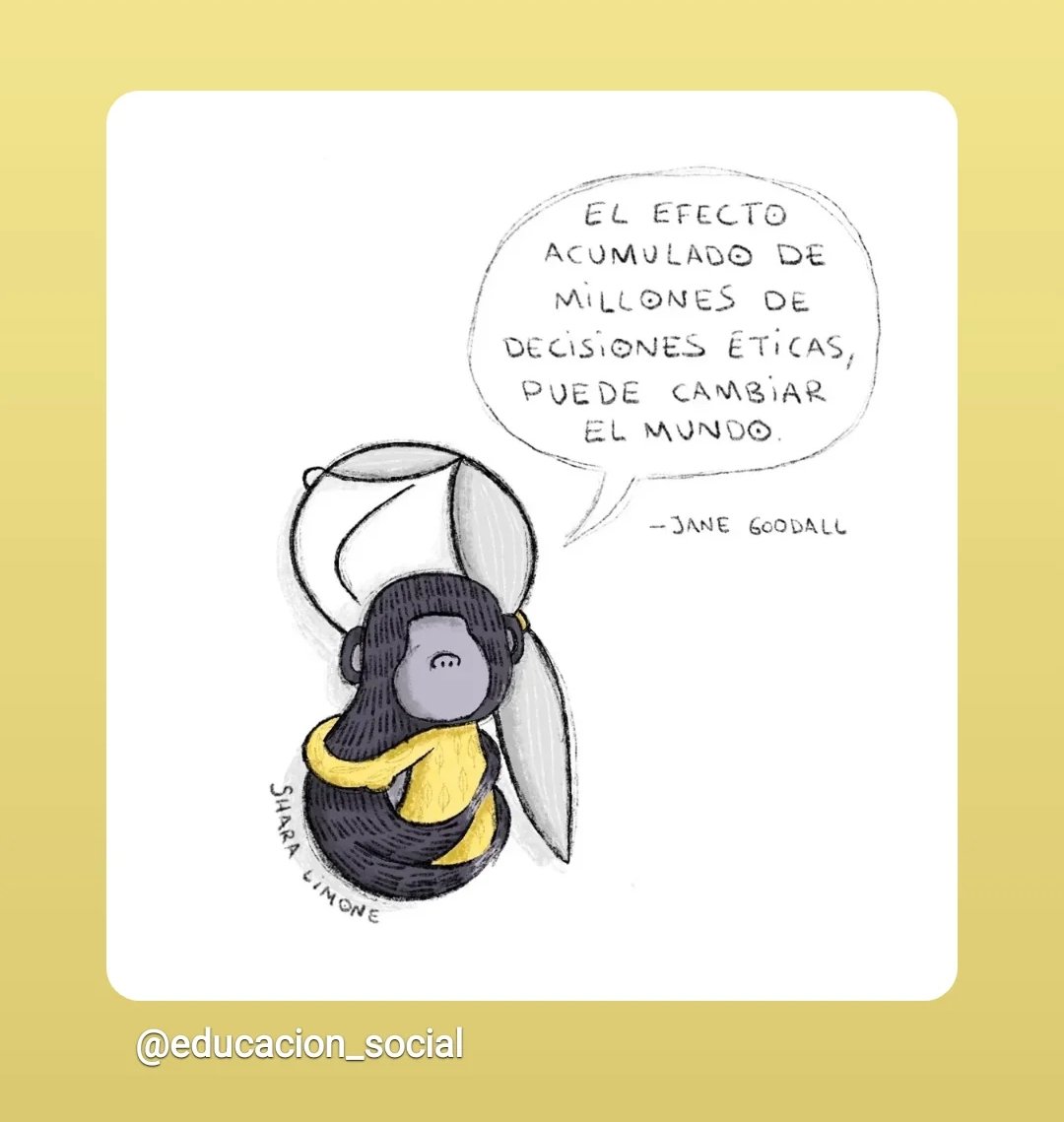 Eider Iruretagoiena (@eiruretagoiena) on Twitter photo 