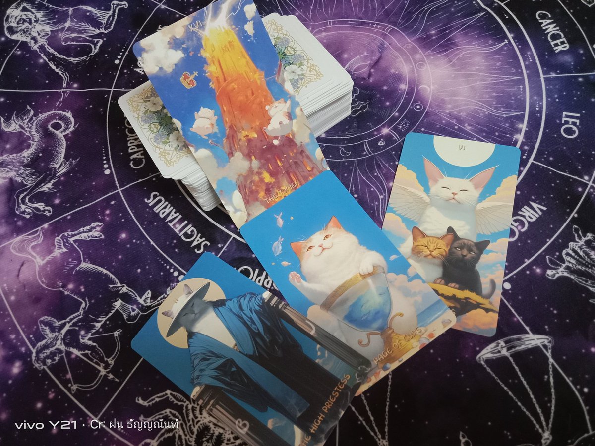 🔱rainny kitty tarot🔱 tweet media