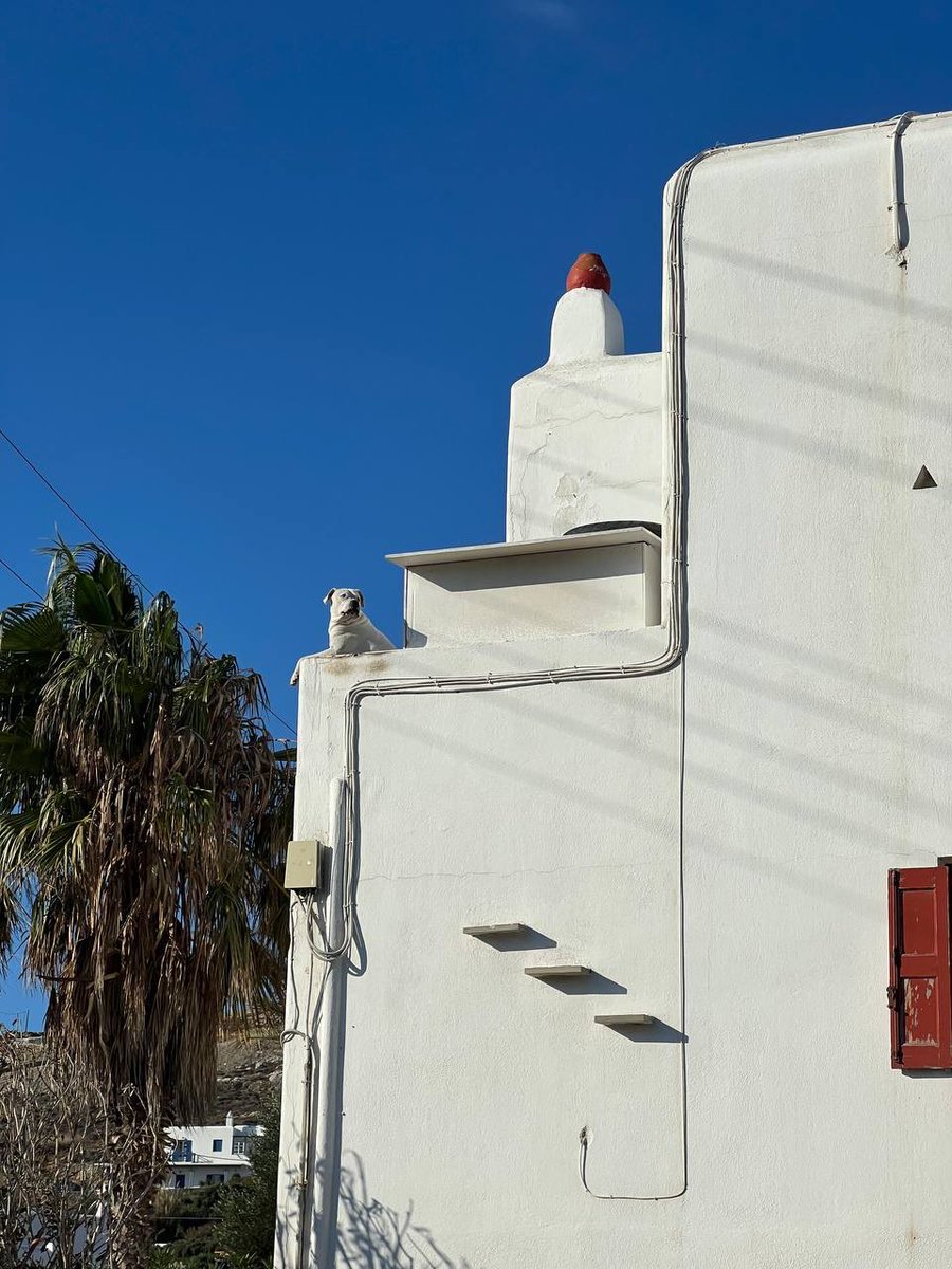 GM <a href="/islanddao/">IslandDAO 🏝️</a>