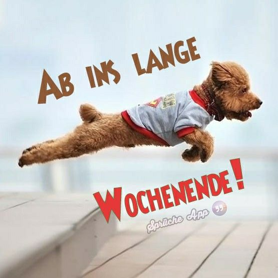 lichtlein1965's tweet photo. https://t.co/LsQKwnWVQL