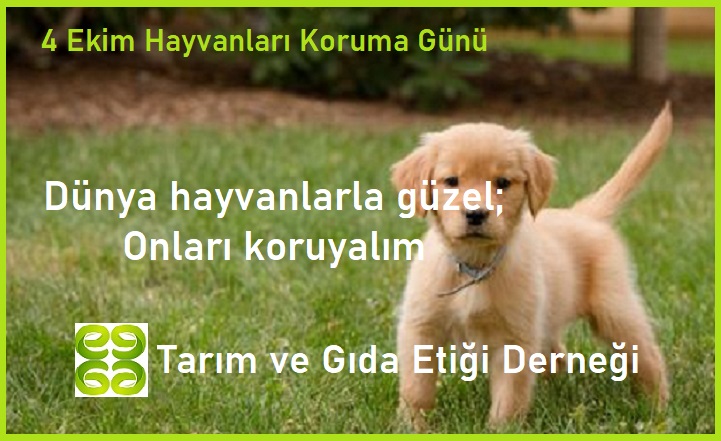 Tarım ve Gıda Etiği Derneği (TARGET) tweet media