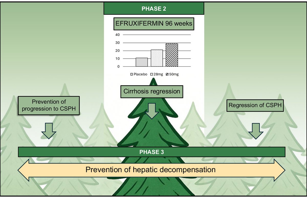 📰Disease-modifying effect of efruxifermin in compensated cirrhosis due to MASH: To miss the forest for the tree(s)

👉Cirrhosis regression only partially captures the potential therapeutic benefit of disease-modifying drugs in phase 3

🖇️ for explanation: authors.elsevier.com/sd/article/S25…
