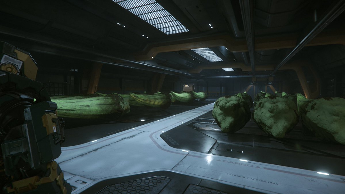 When you awkwardly walk in on your friends and they are casually ivory poaching... #StarCitizen <a href="/RobertsSpaceInd/">Star Citizen</a>