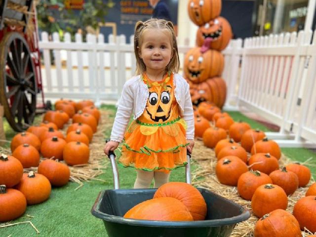 Positively Putney tweet media