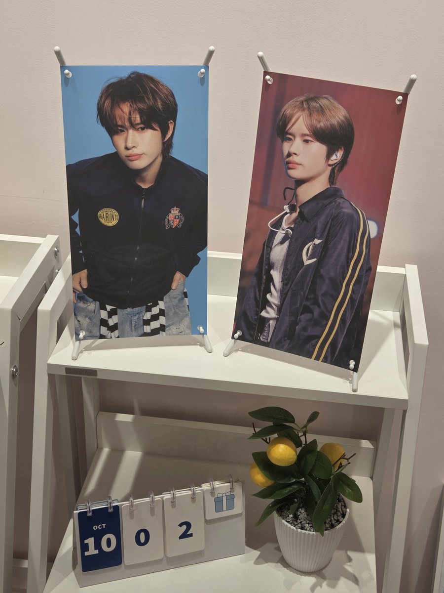 묭재 tweet media