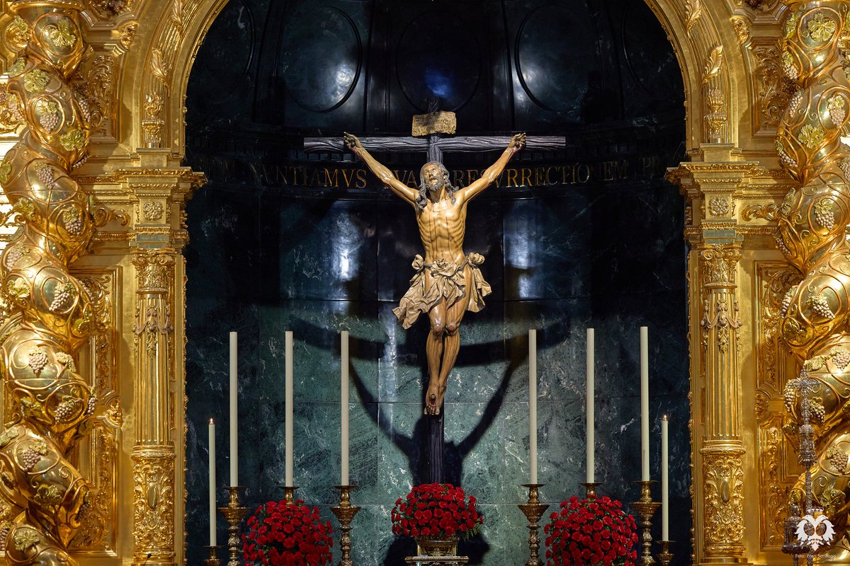 Hoy es #ViernesdeCachorro.

"Porque, quien quiera salvar su vida, la perderá; pero el que pierda su vida por mí, la salvará".