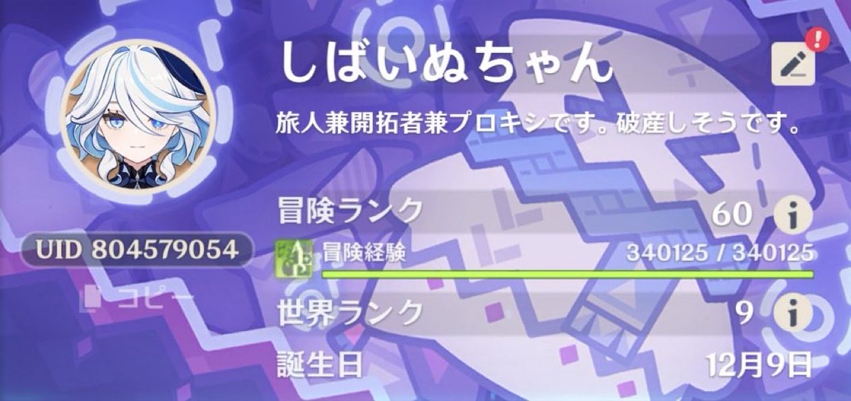 柴犬ちゃん🏩🔥 tweet media