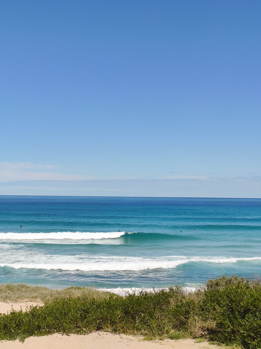 Simon Earle tweet media