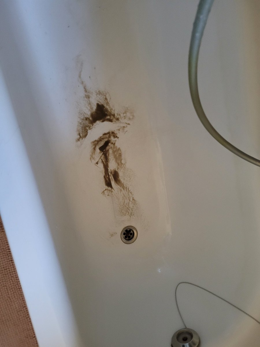 Are you sure this came off my paws mom???? #cavpack #dirtypaws #morningwalk