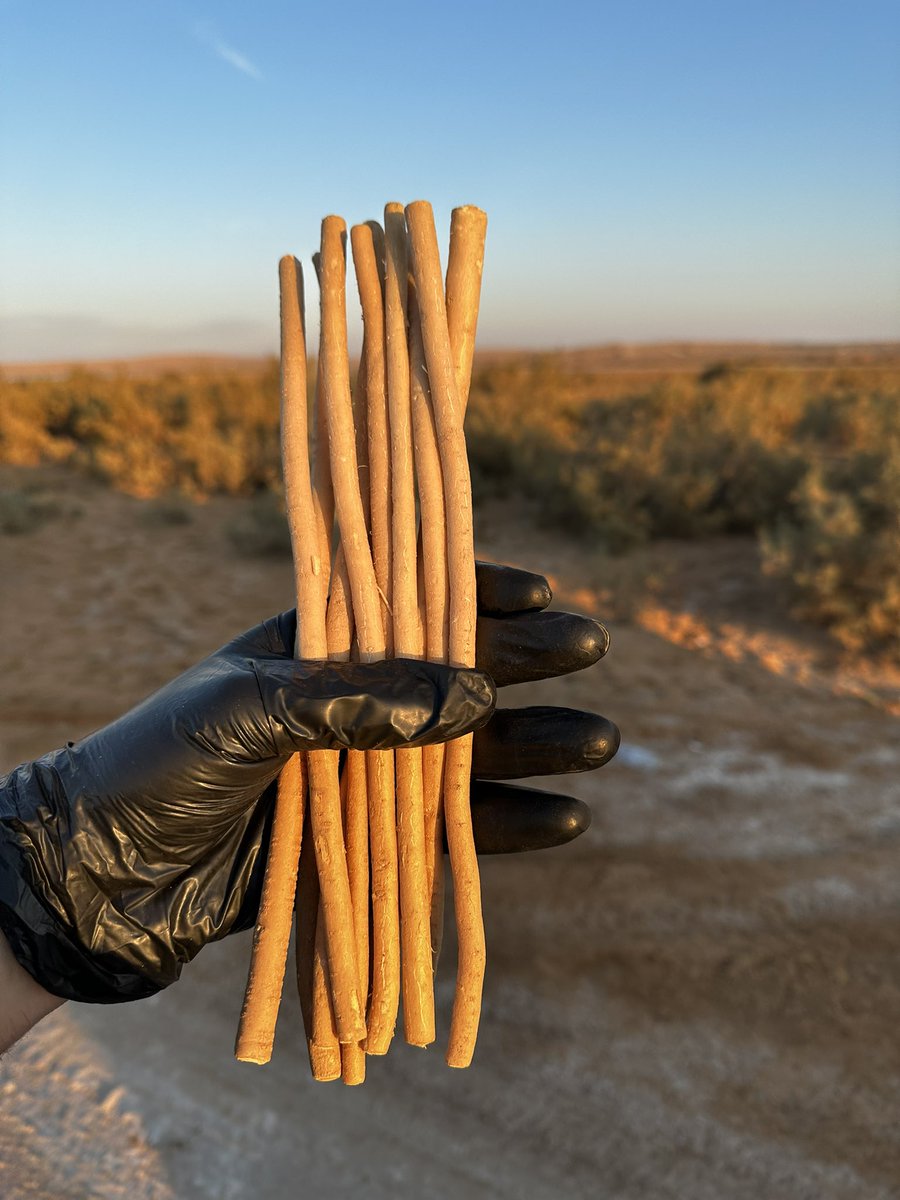 متجر ابو حنش للسواك tweet media