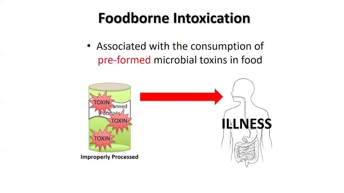 Mau kasih perspektif Mikrobiologi Klinis terkait keracunan MBG, dalam mencari penyebab “keracunan makanan” harus sangat hati-hati dalam membedakan “Food intoxication” dan “Foodborne infection”.

Karena timeline dari makanan masuk sampai timbul gejala akan berbeda, jika gejala
