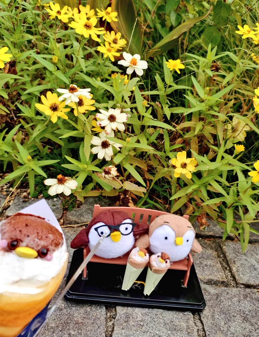 今日は一日大好きなたみこさんとシーパラデートしてきた〜