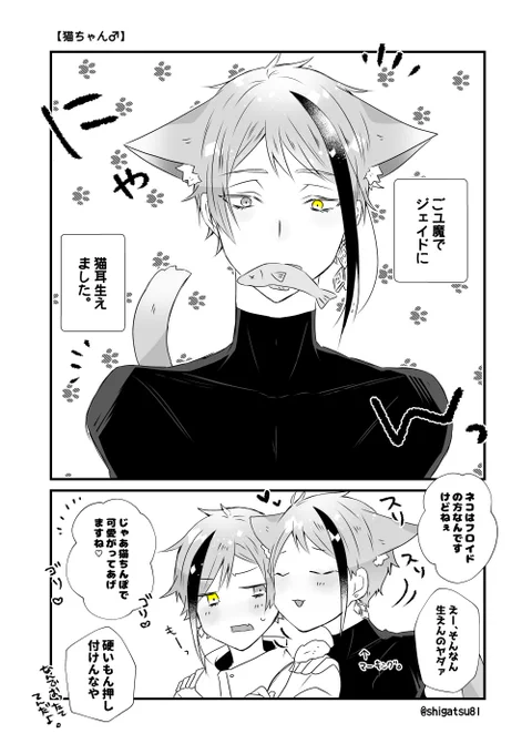 日常に差し支えはない🏩🐾
𓇼ジェイフロ 