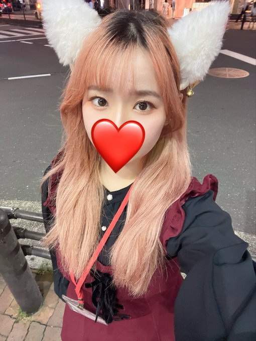 池猫 ~池袋の猫たち~のツイート