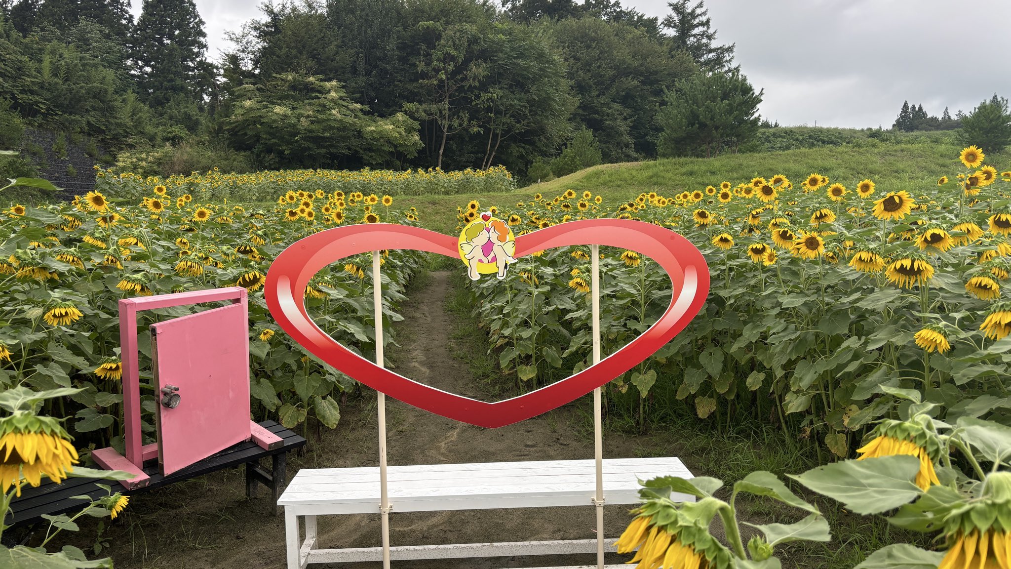 65rz89📮🩸🚗 on X: 