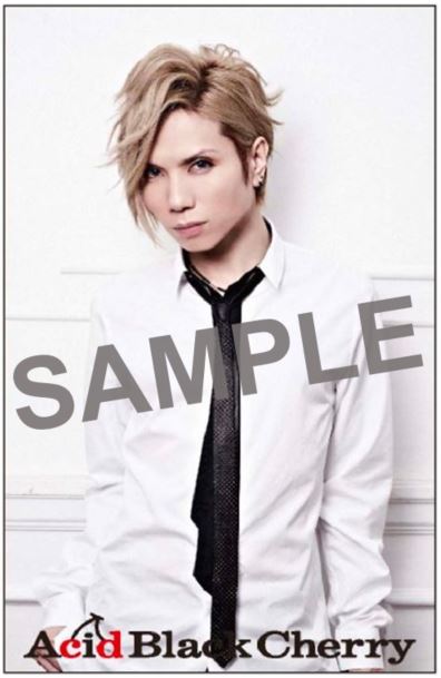 Acid Black Cherry 『Acid Black Cherry TOUR 「2012」』Blu-ray&DVDが