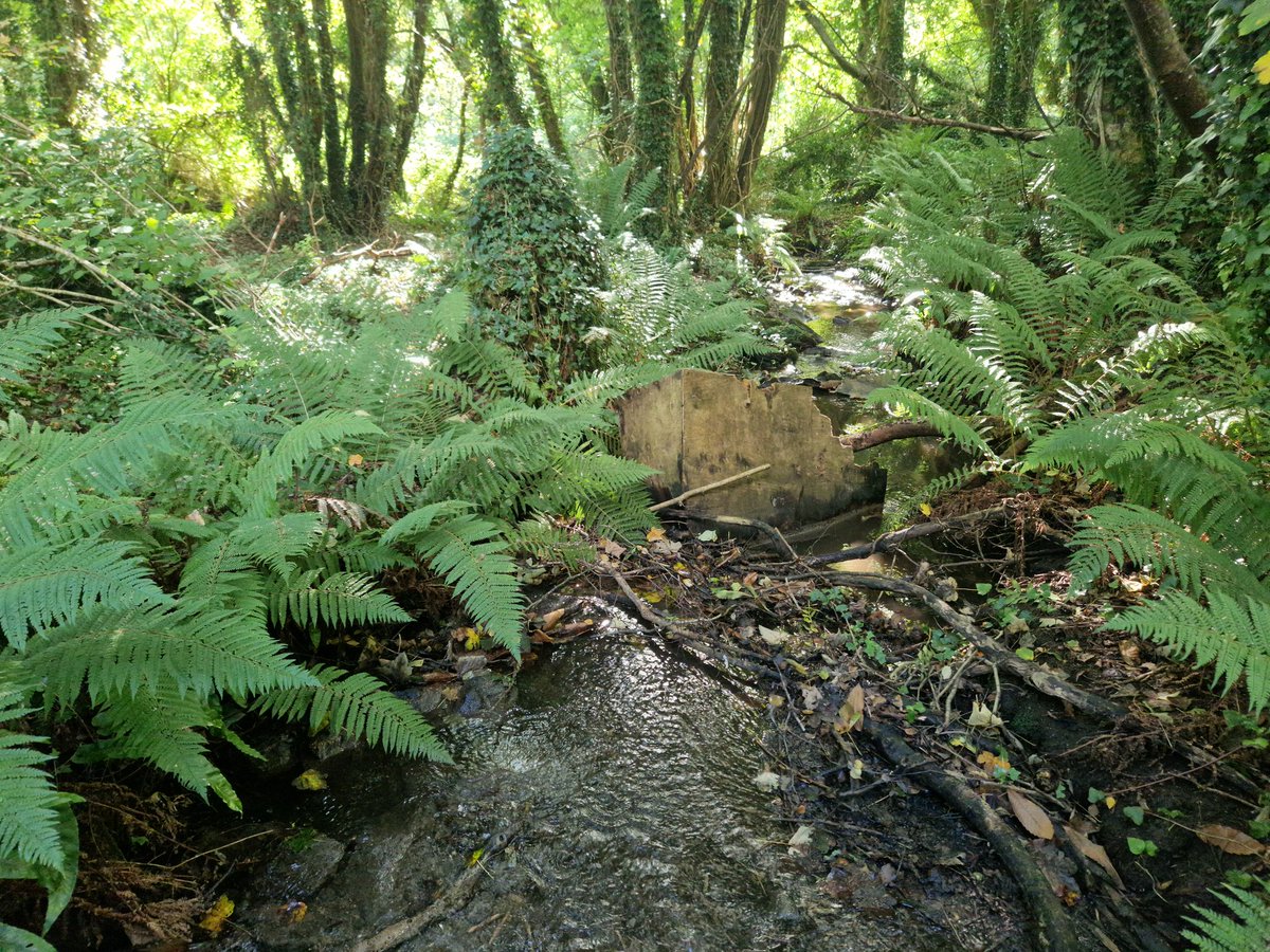 East Coast Catchment Science - Dónal O'Keeffe tweet media