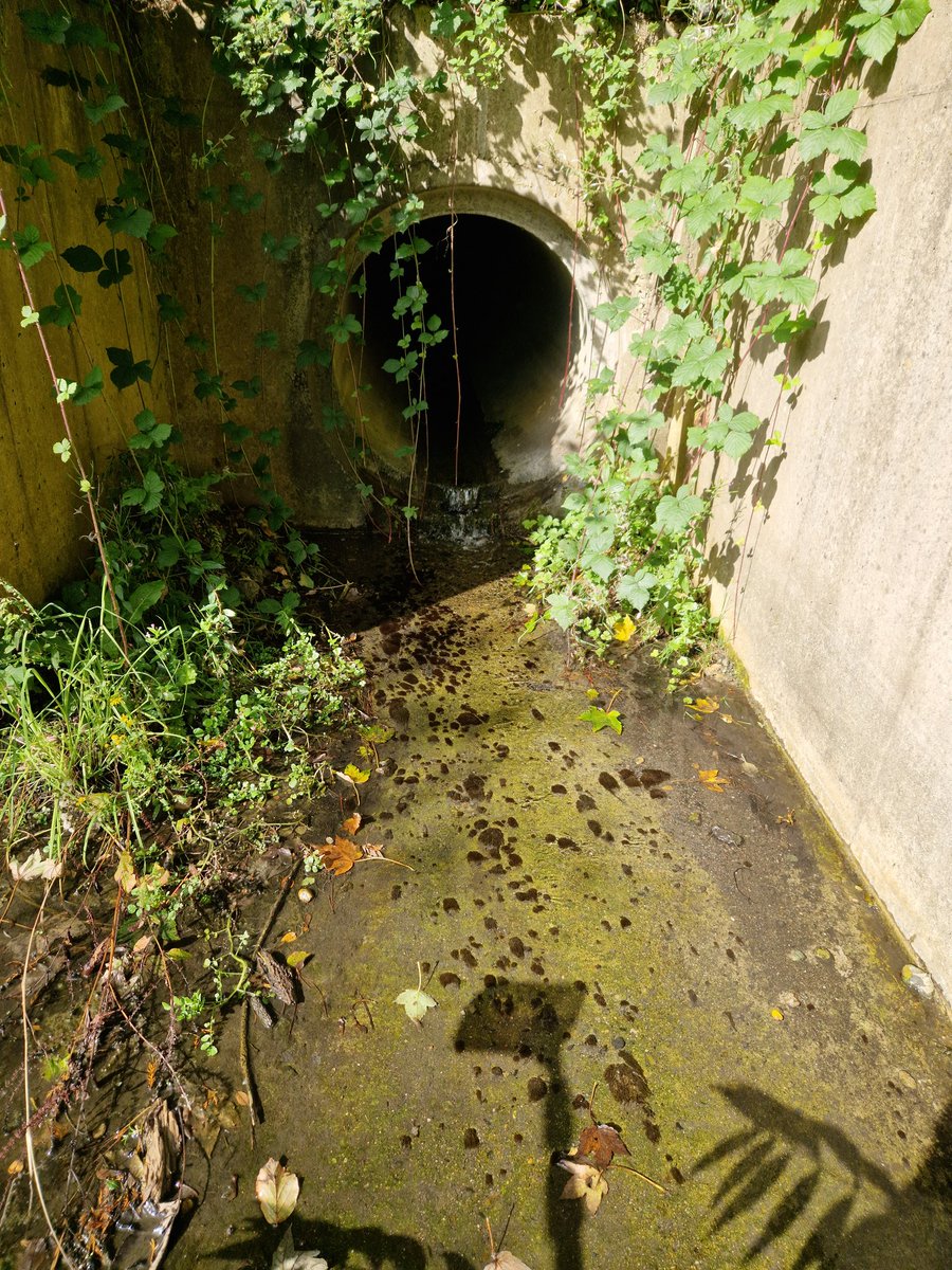 East Coast Catchment Science - Dónal O'Keeffe tweet media