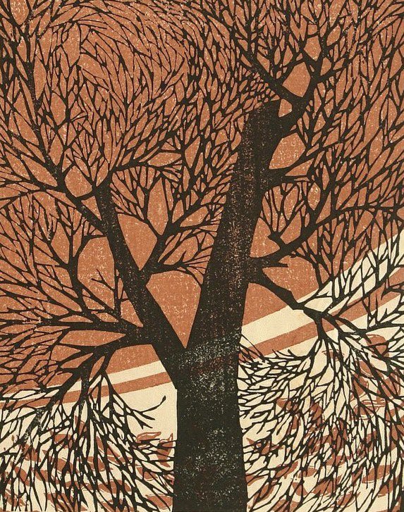 Tree in the Autumn Wind 1960s #MasakazuKuwata
