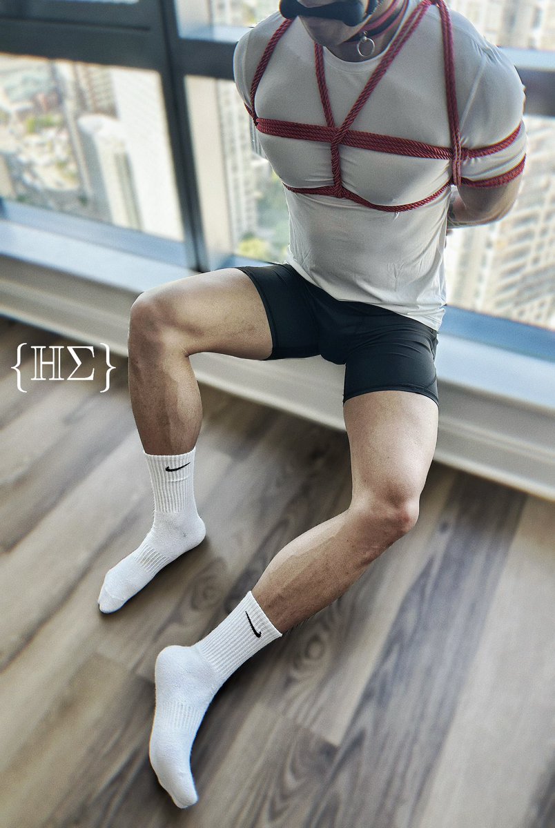 Homology tweet media