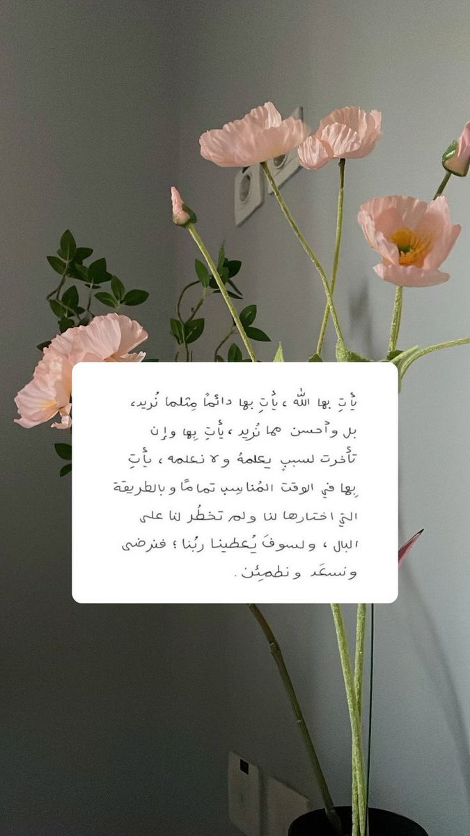 roroah2_2 tweet picture