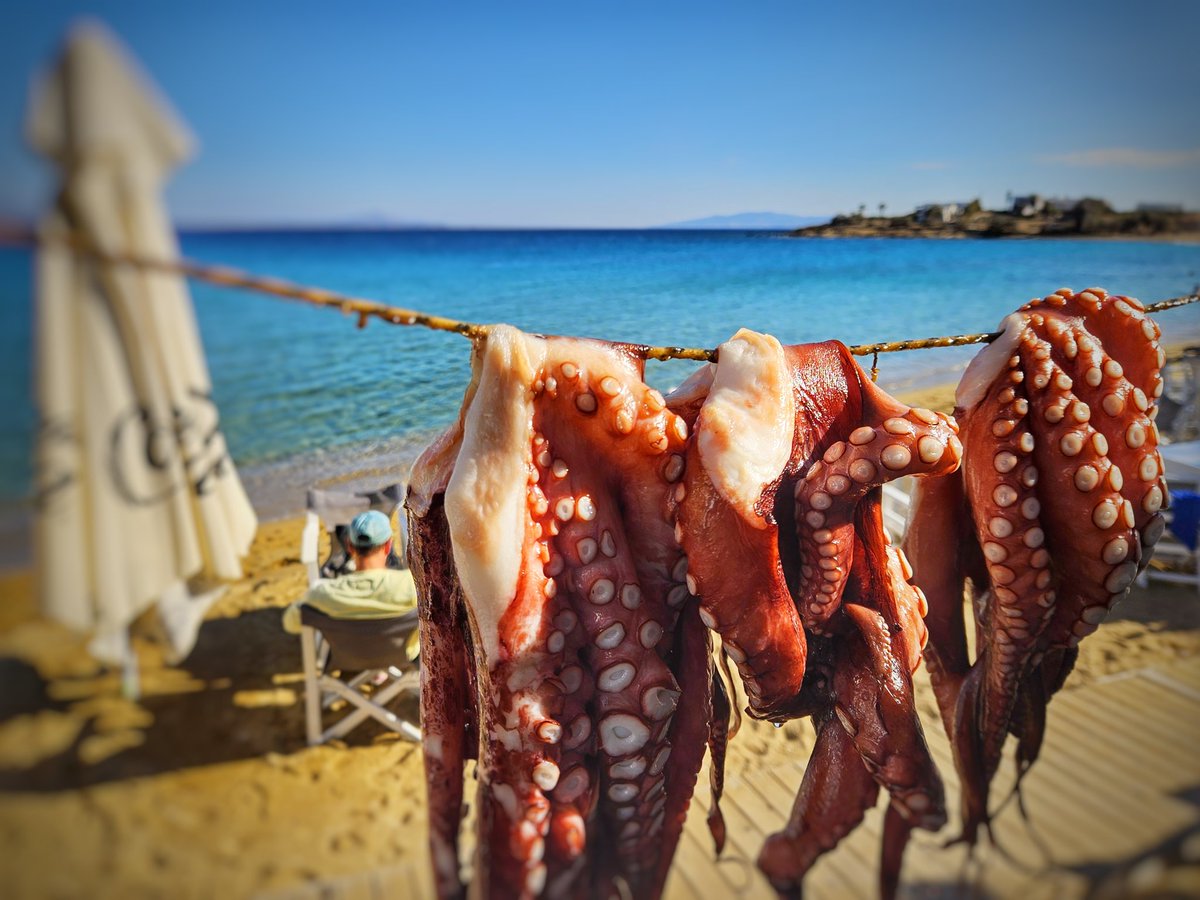 BrunoLauper's tweet photo. Piso Livadi Port 🇬🇷
Paros Greece 30.09.2025
•
#pisolivadi #pisolivadiport #paros
#parosisland #greece #griechenland #visitparos
#relax #samsung #galaxy23
#tiltshift #miniatureeffect https://t.co/qMpCEL5366