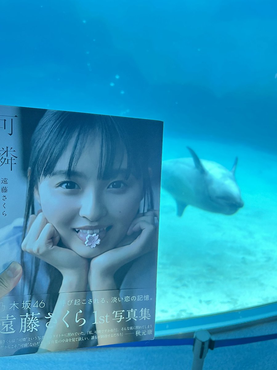 10月3日は #遠藤さくら生誕祭 と共にさくちゃんの写真集「可憐」の発売