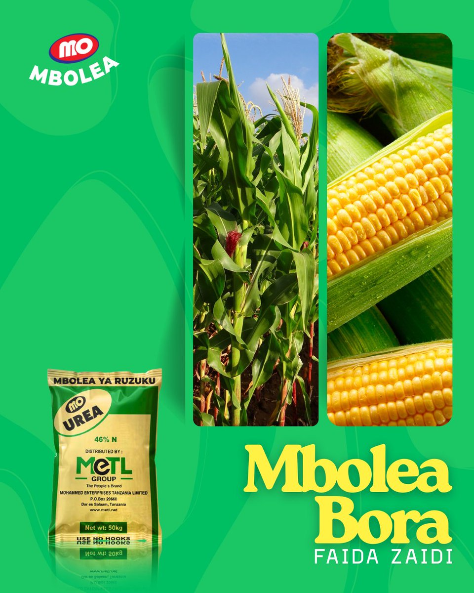 MetlFertilizers's tweet photo. #MOUrea inaimarisha ukuaji wa mahindi, inaongeza mavuno, na kupunguza gharama kwa mkulima. Chagua MOUREA leo—kwa shamba lenye nguvu na mafanikio ya kweli! 💪🌽
#UreaNiSuluhisho #KilimoBora #MahindiYenyeFaida #motunagusamaishayako #mo #ThePeoplesBrand #InThisTogether #tfra https://t.co/iNOh7Tl9zK