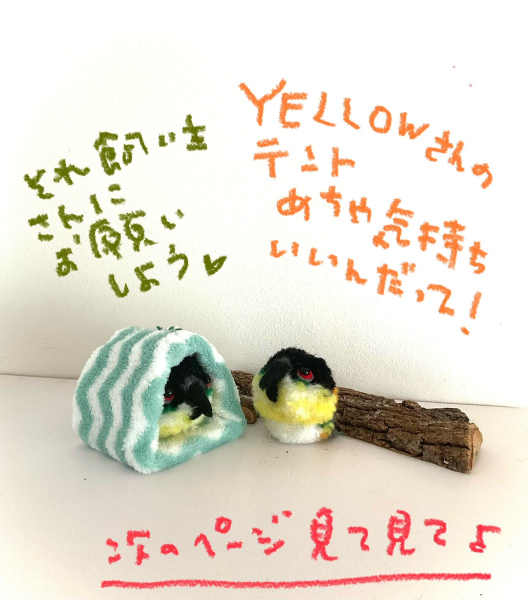 Torikobo tweet media
